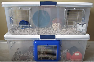diy mouse bin cage