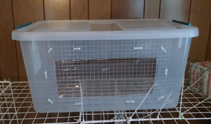How to Make a DIY Bin Cage for Rats - Rat Trixs - Do More With your Rats!